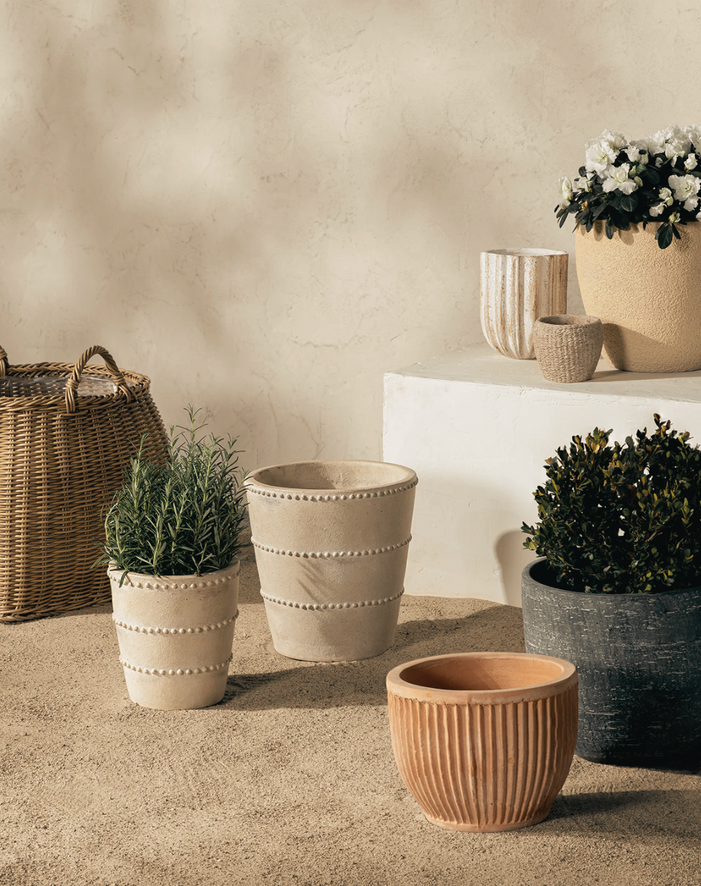 Pottery collection with plants